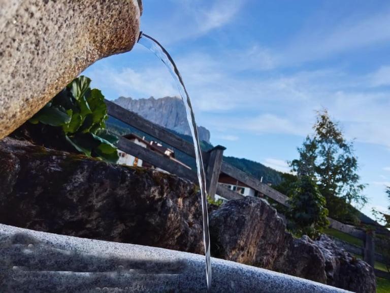 Garni Hotel Iris سيلفا دي فال جاردينا المظهر الخارجي الصورة