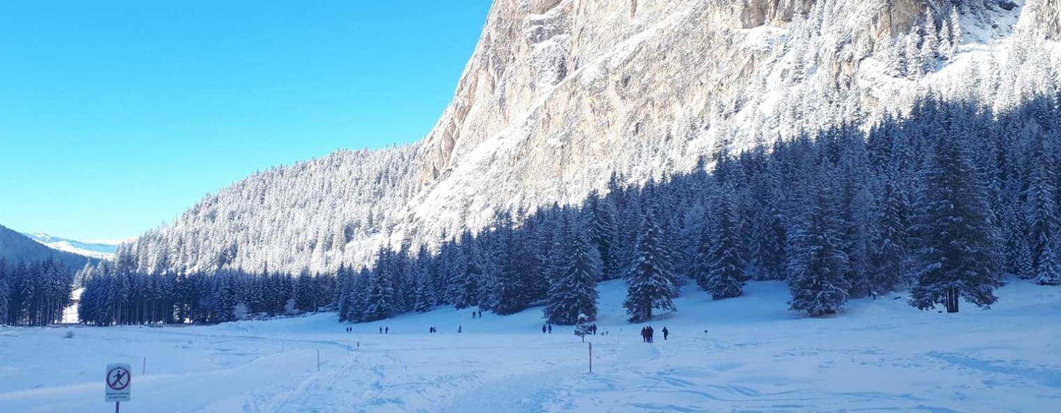 Garni Hotel Iris سيلفا دي فال جاردينا المظهر الخارجي الصورة