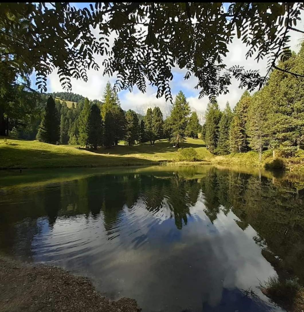 Garni Hotel Iris سيلفا دي فال جاردينا المظهر الخارجي الصورة